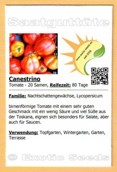 Tomate 'Canestrino' , für Salate und Saucen, 20 Samen